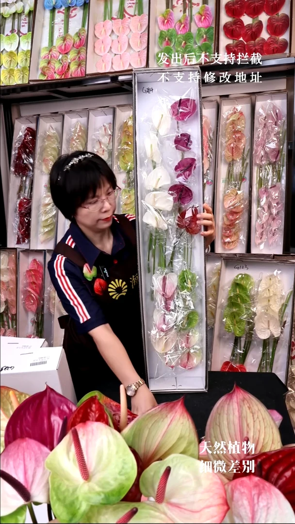混色20支G224不售后款