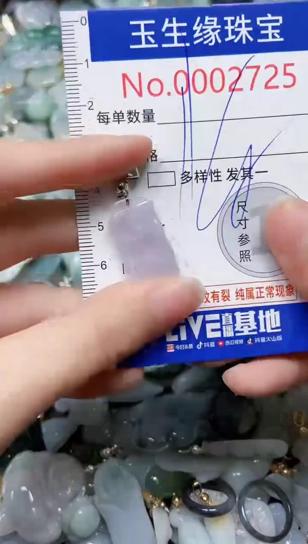 【闪购商品】翡翠颈饰未镶嵌闪购00002725