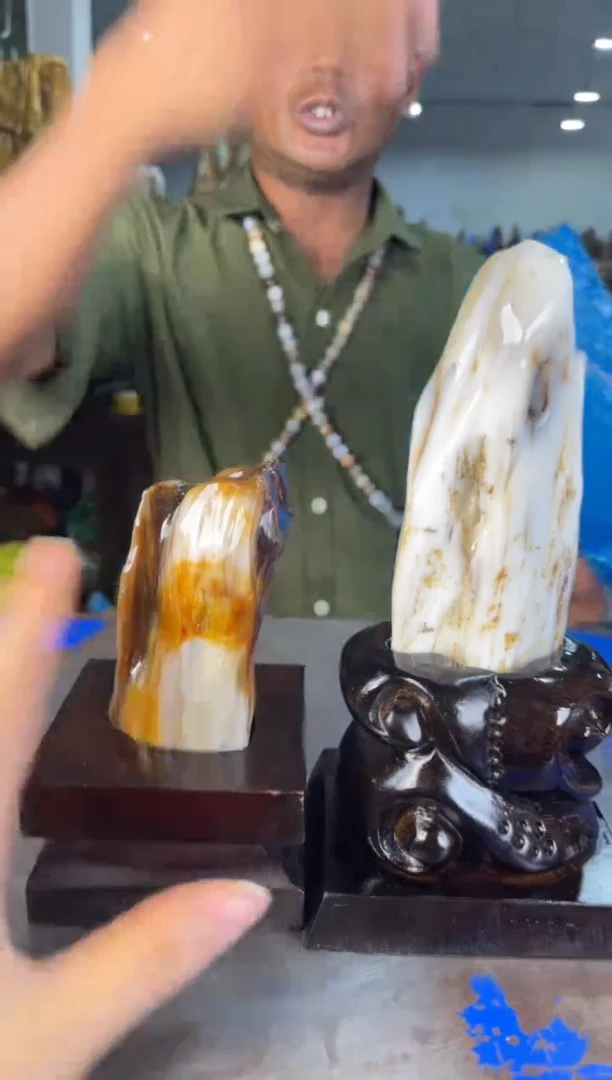 未镶嵌摆件硅化玉2