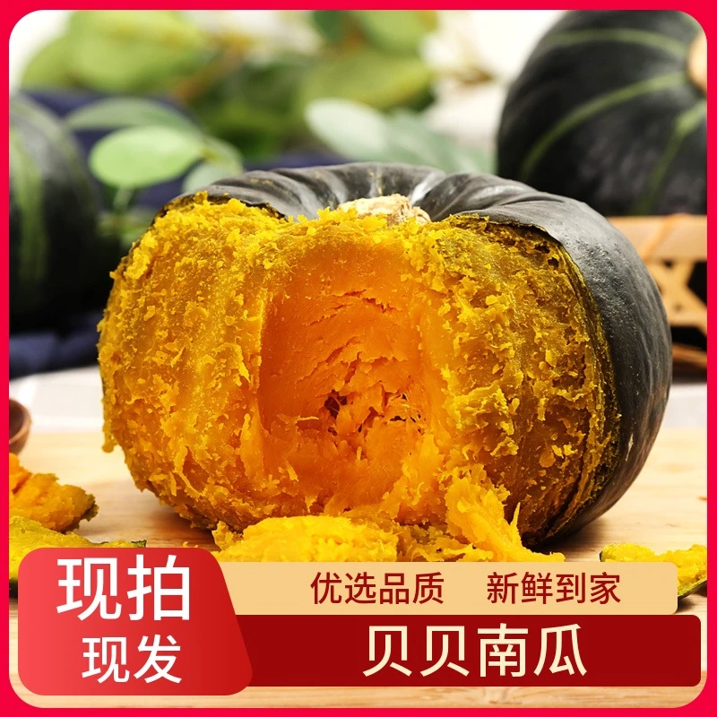 【南瓜】贝贝南瓜新鲜农产品顺丰包邮