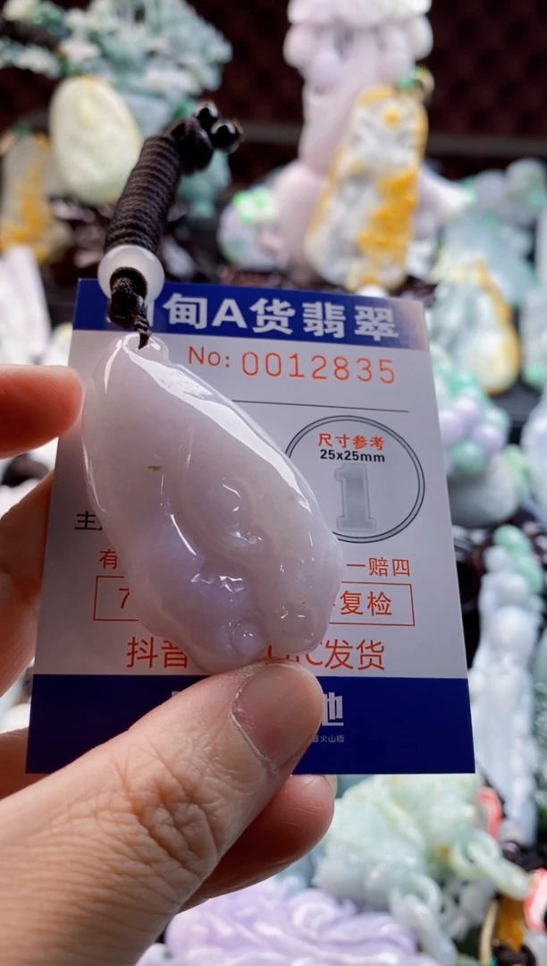 翡翠未镶嵌吊坠(不含链)如*1