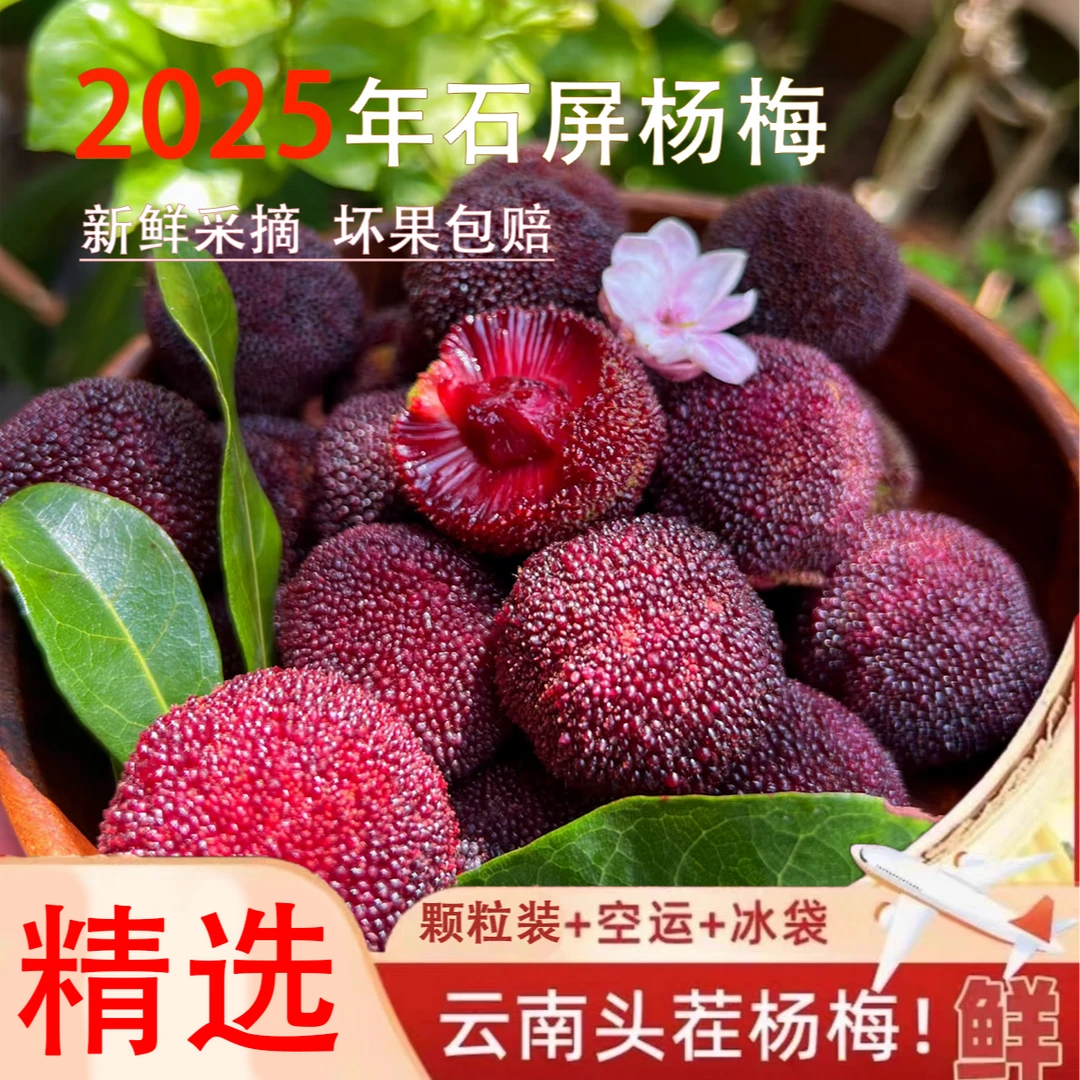 【空运发货】云南高原早熟杨梅盒装酸甜现摘现发应季水果孕妇新鲜