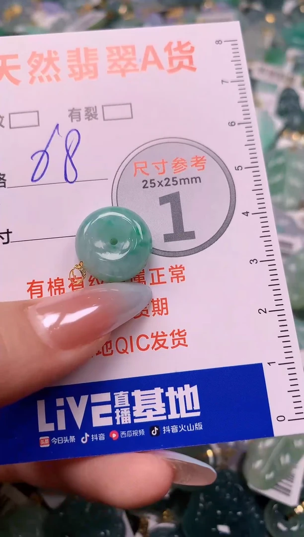 翡翠18K金镶嵌颈饰24001464