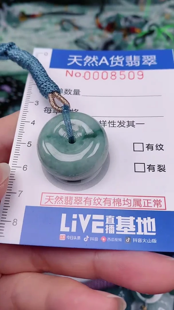 【闪购商品】翡翠颈饰未镶嵌00008509