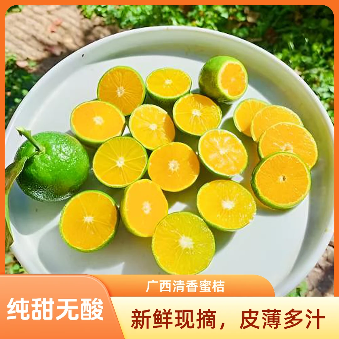 茶桔广西桂林清香桔纯甜无酸化渣薄皮多汁清香怡人老人小孩宝妈爱