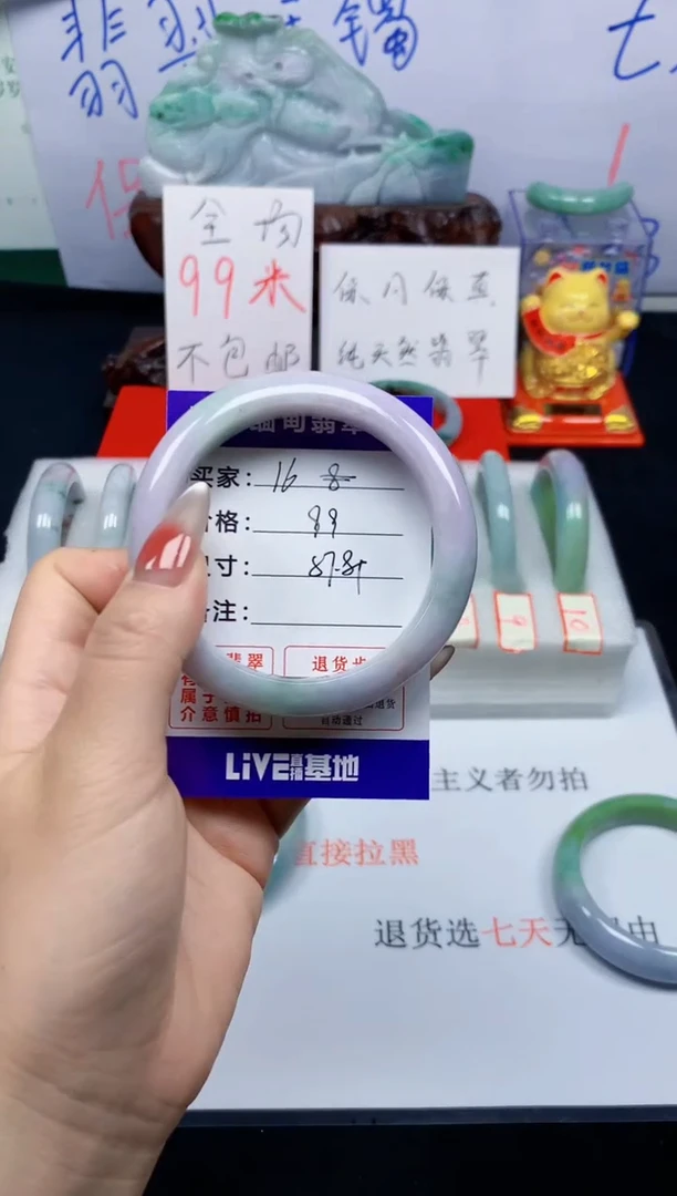 未镶嵌手镯翡翠16