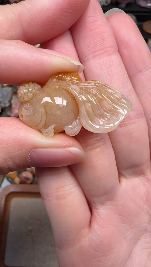 颈饰未镶嵌硅化珊瑚（珊瑚玉）235