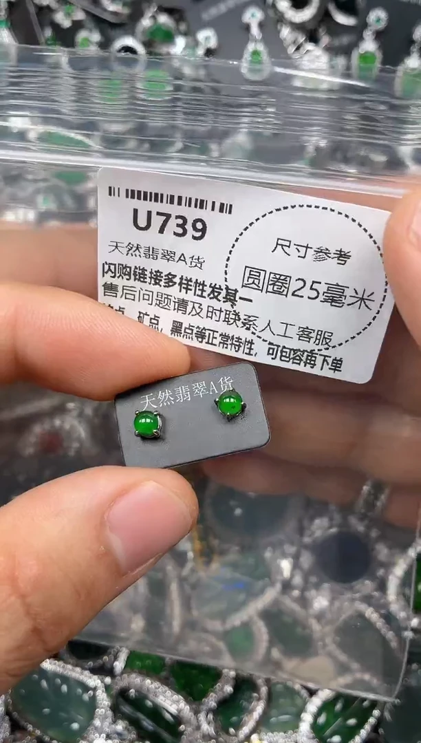 颈饰未镶嵌翡翠U739耳钉