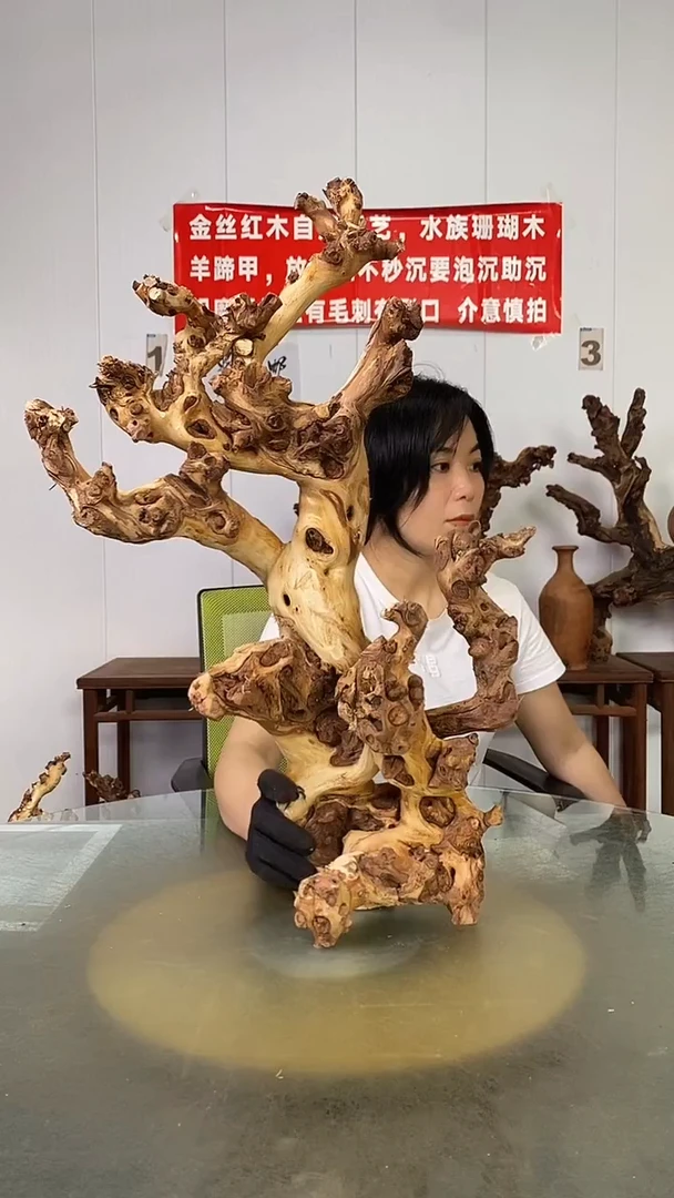 香榧木我***大金丝红木   羊蹄甲