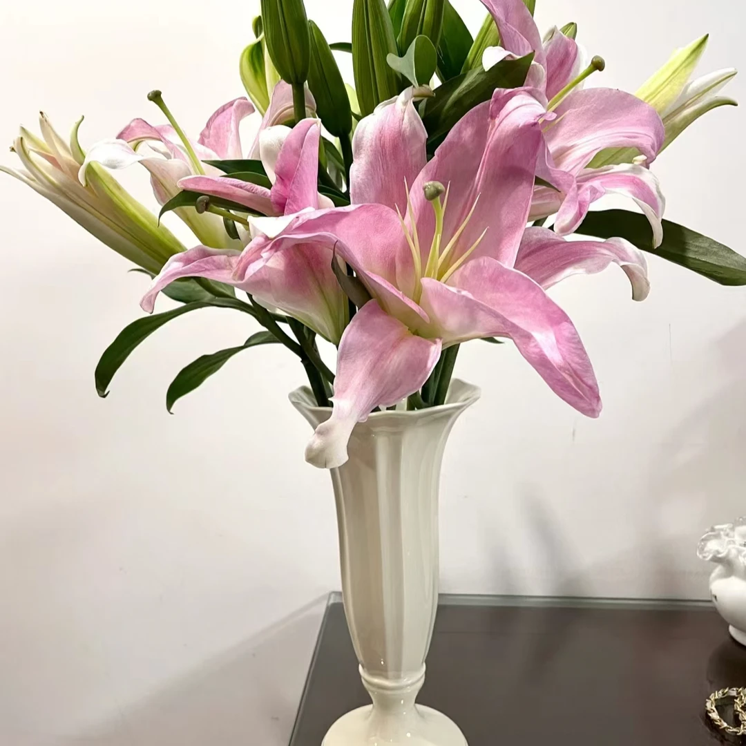 索尔邦【单瓣香水百合】顺丰包邮