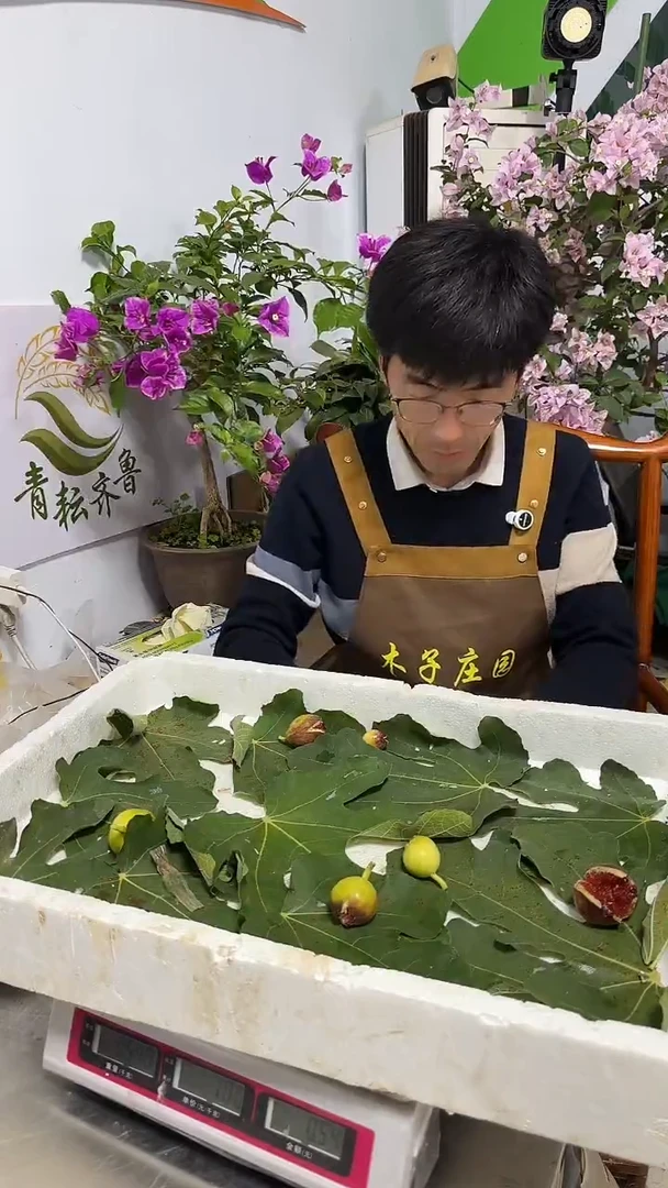 沉***夏考黑无花果开口果无售后介意勿拍