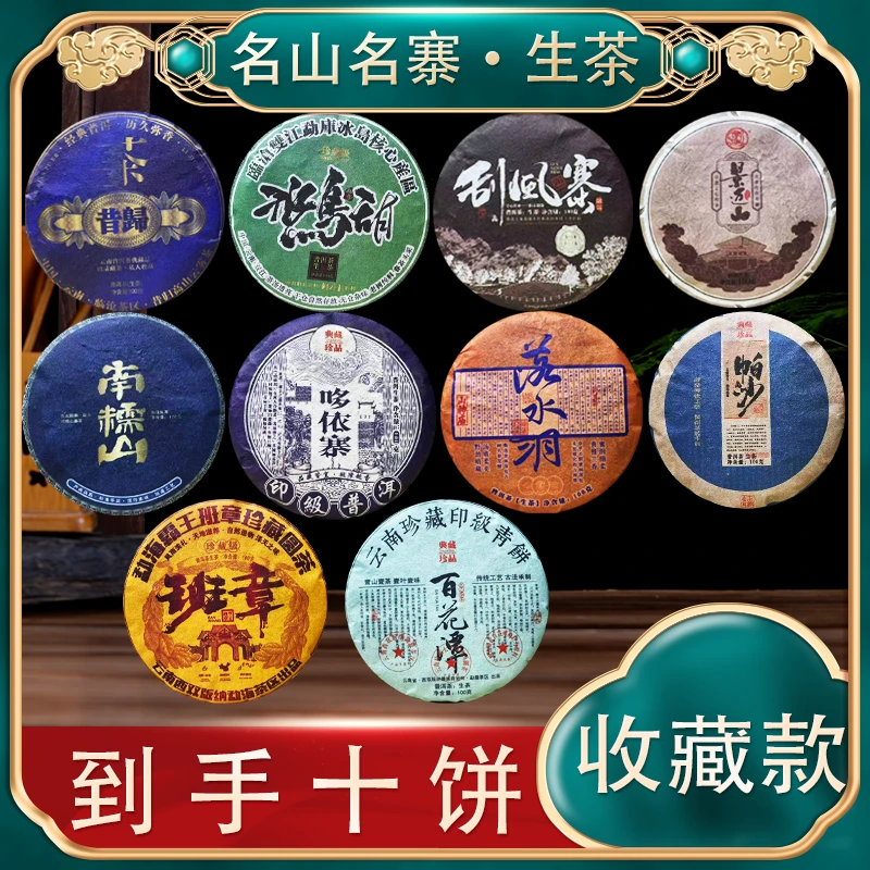 【仙人活动专属】到手十饼 名山名寨各大产区 品不同口感一饼100克