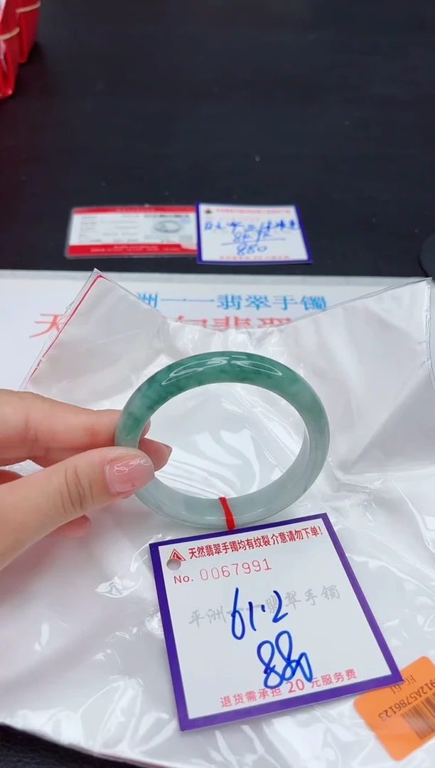 未镶嵌手镯翡翠1