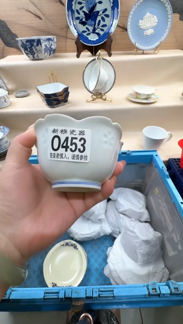 瓷片Z*j          O453