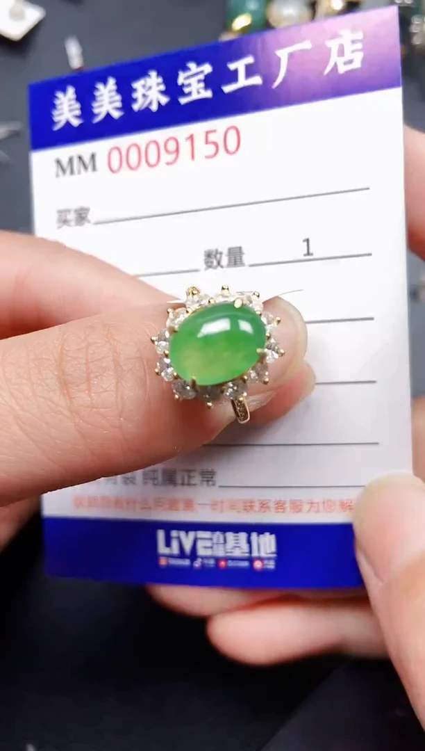 翡翠银S925镶嵌颈饰9150