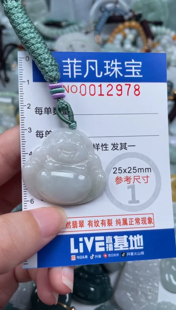 颈饰未镶嵌翡翠12978