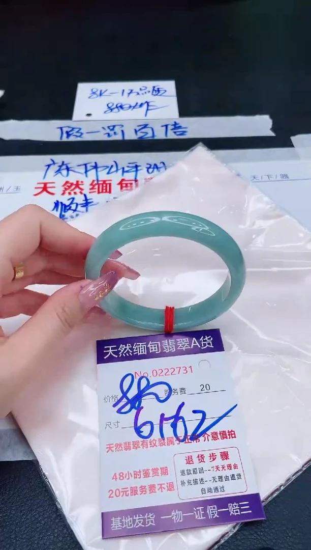 未镶嵌手镯翡翠880.00