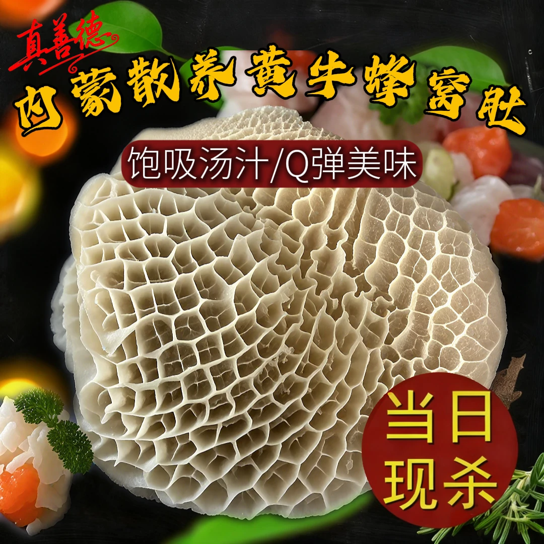 【金钱肚】新鲜金钱肚、蜂窝肚、人工手洗，无碱发 固形物含量80%以上