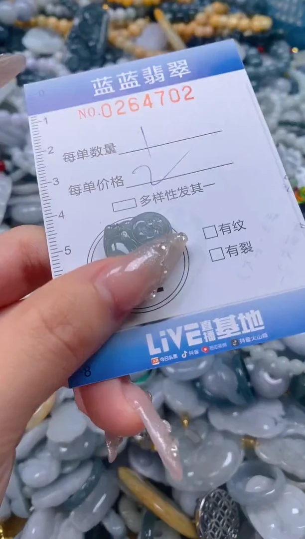 翡翠未镶嵌颈饰闪购0264702