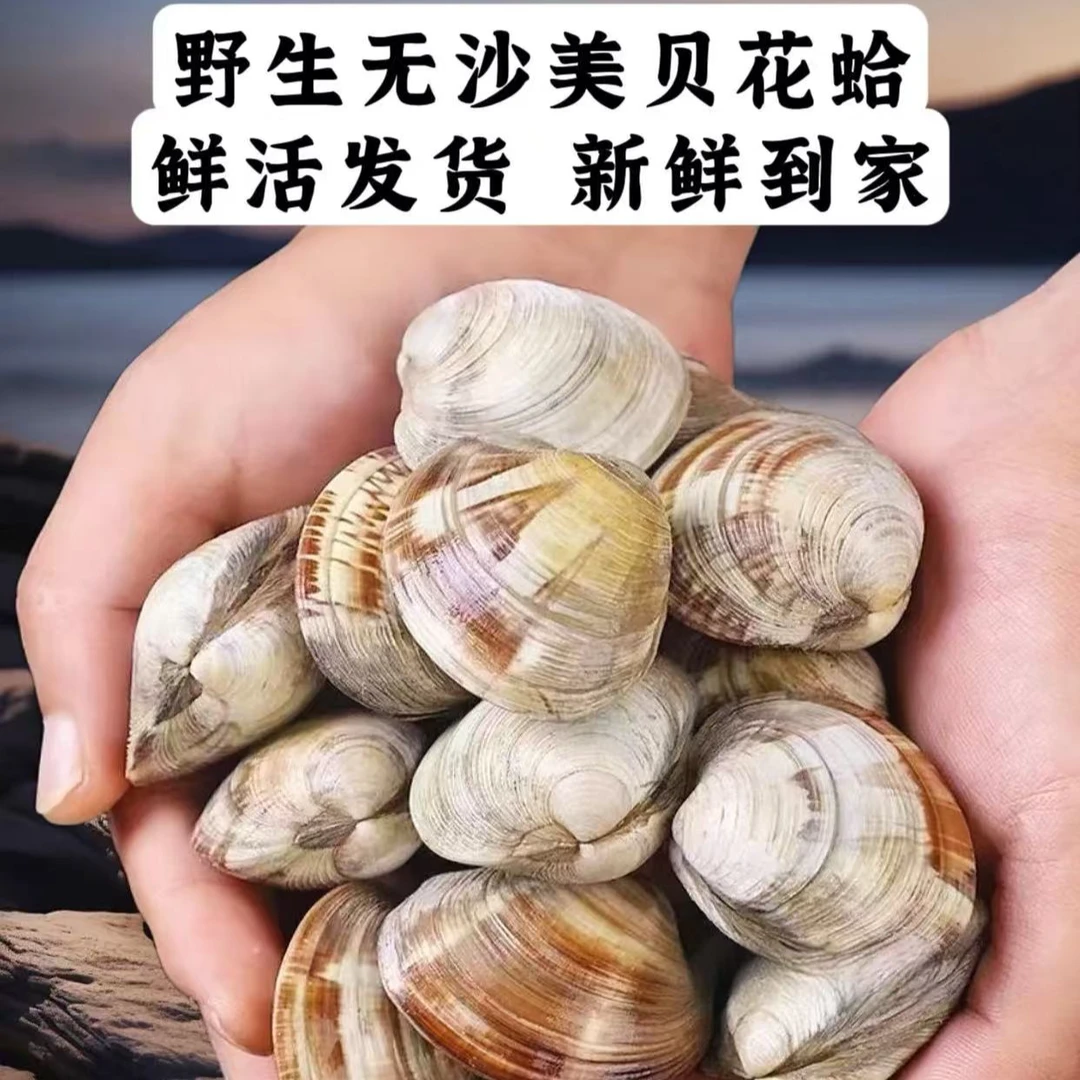 《新疆包邮》鲜活精品花甲到手约4斤海鲜