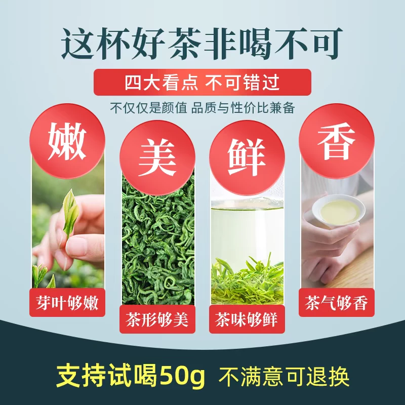2025新春茶浓香日照绿茶250g