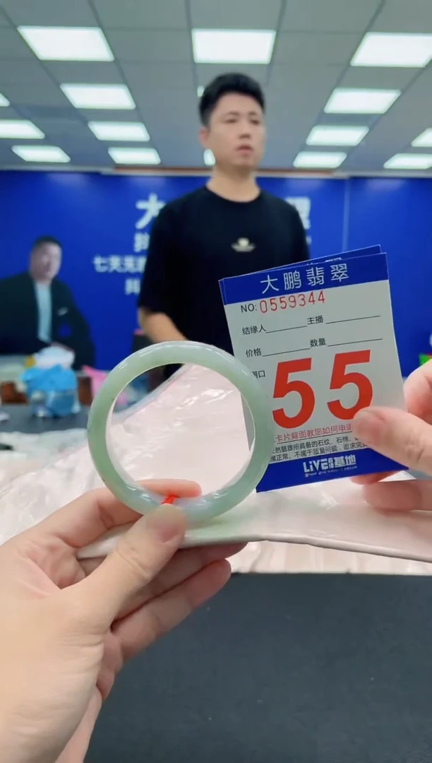 未镶嵌手镯翡翠AAAAAAAAA