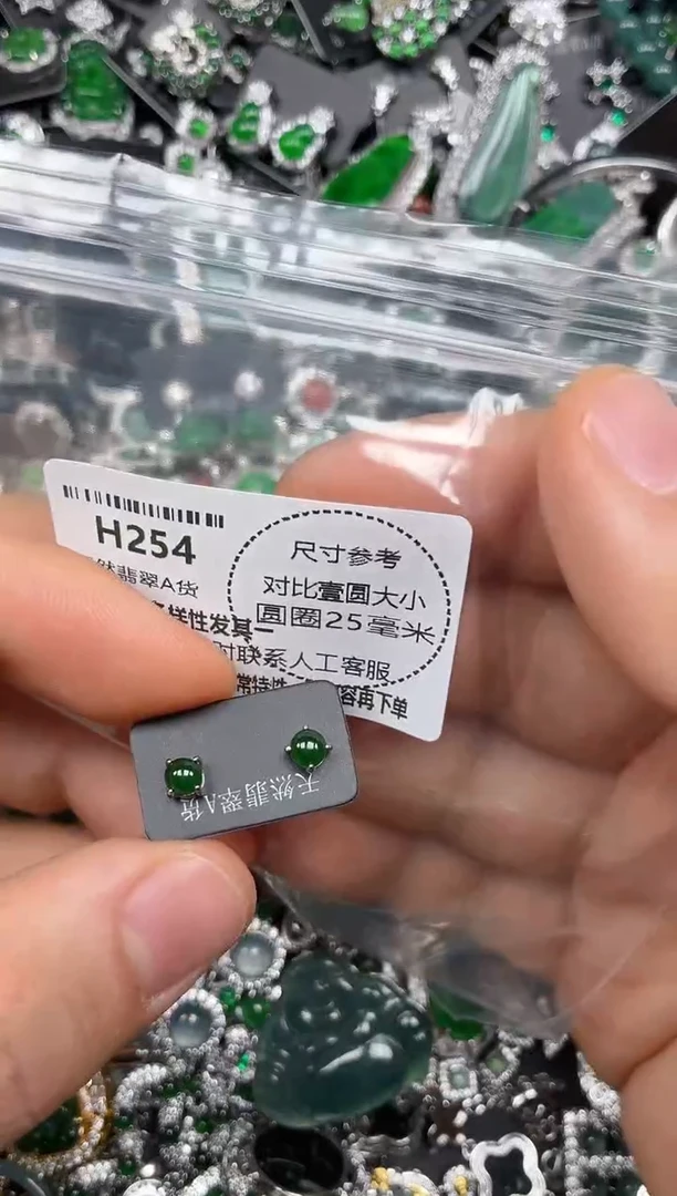 颈饰未镶嵌翡翠H254耳钉