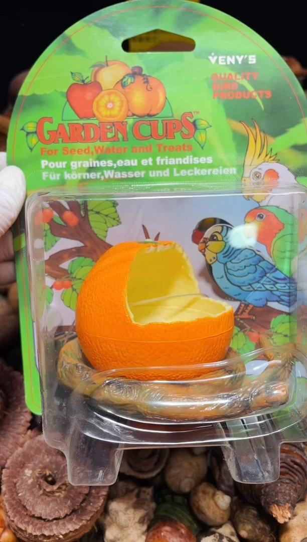 陌派有钳寄居蟹308