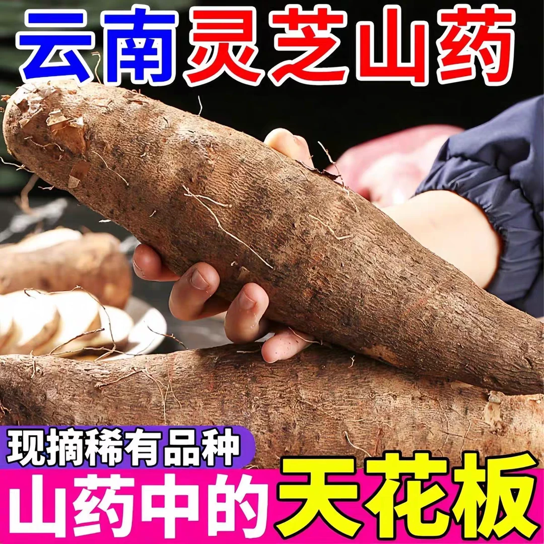 【顺丰发】正宗云南农家灵芝山药新鲜应季粉面香甜产地现挖现发