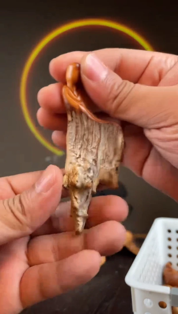 柏木（崖柏）手工摆件,先抢先得! 编号:296