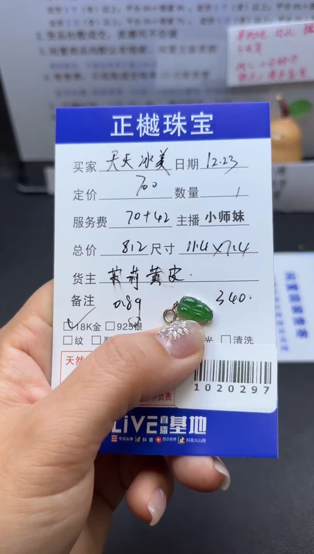 颈饰未镶嵌翡翠天****️ZYZB-1020297