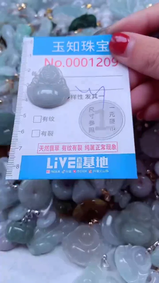 吊坠(不含链)未镶嵌翡翠1209