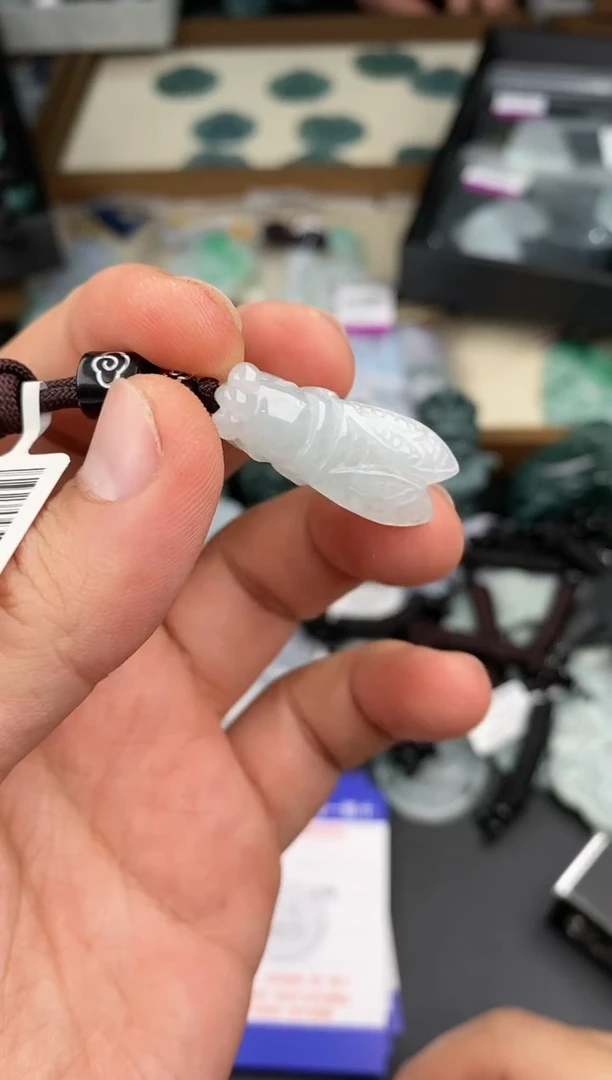 【闪购商品】翡翠颈饰未镶嵌  天然翡翠，一物一图