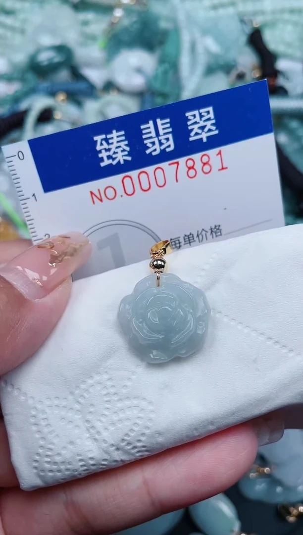 【闪购商品】翡翠颈饰未镶嵌.0007881