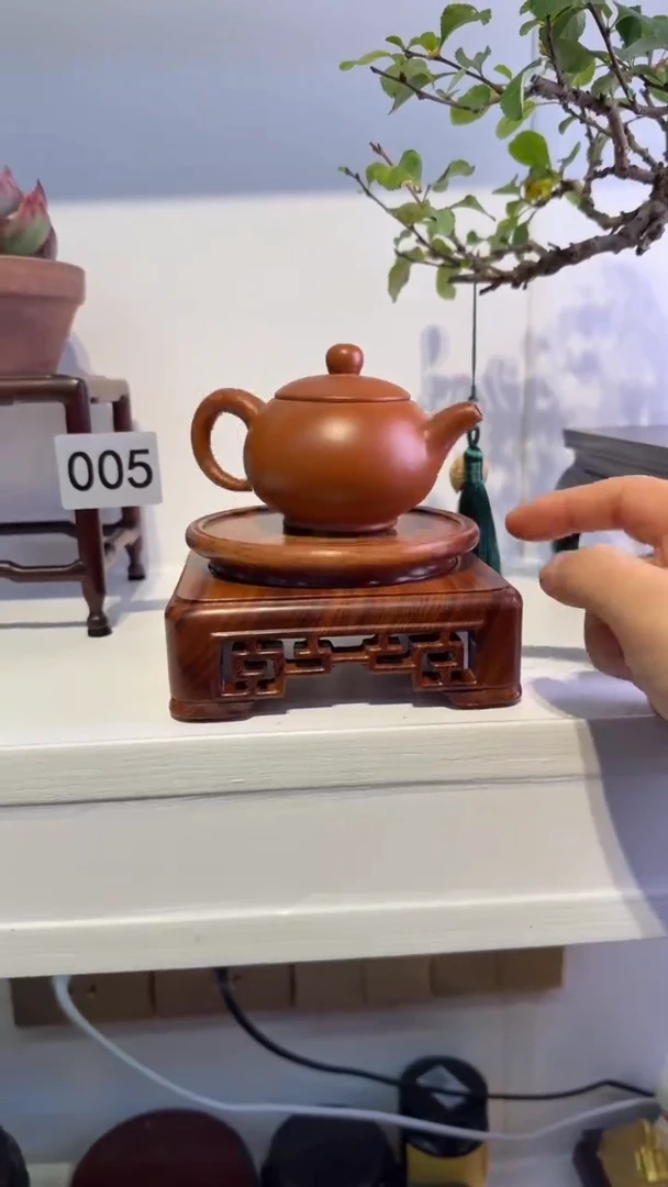 紫砂1紫砂紫砂紫砂紫砂紫砂2转