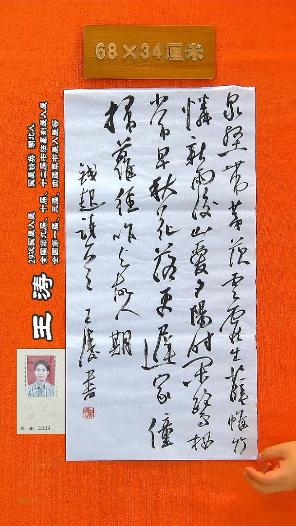 书法82a王涛书法作品