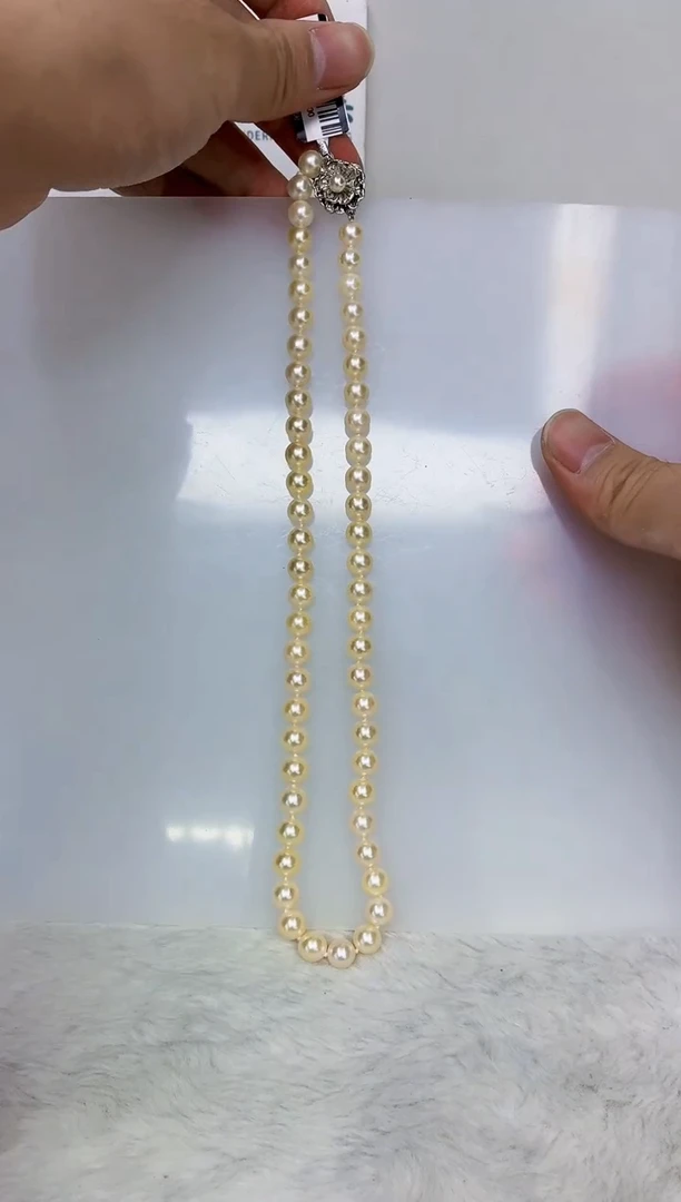 未镶嵌DA海水珍珠羽皇金串链7-8 y727