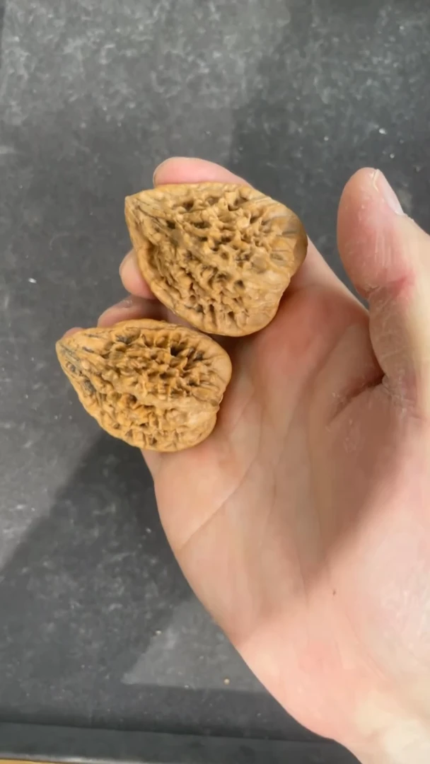 【闪购商品】文玩核桃把件36全品鸭嘴