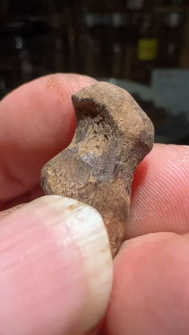 沉香沉香碎屑马泥涝0.6克