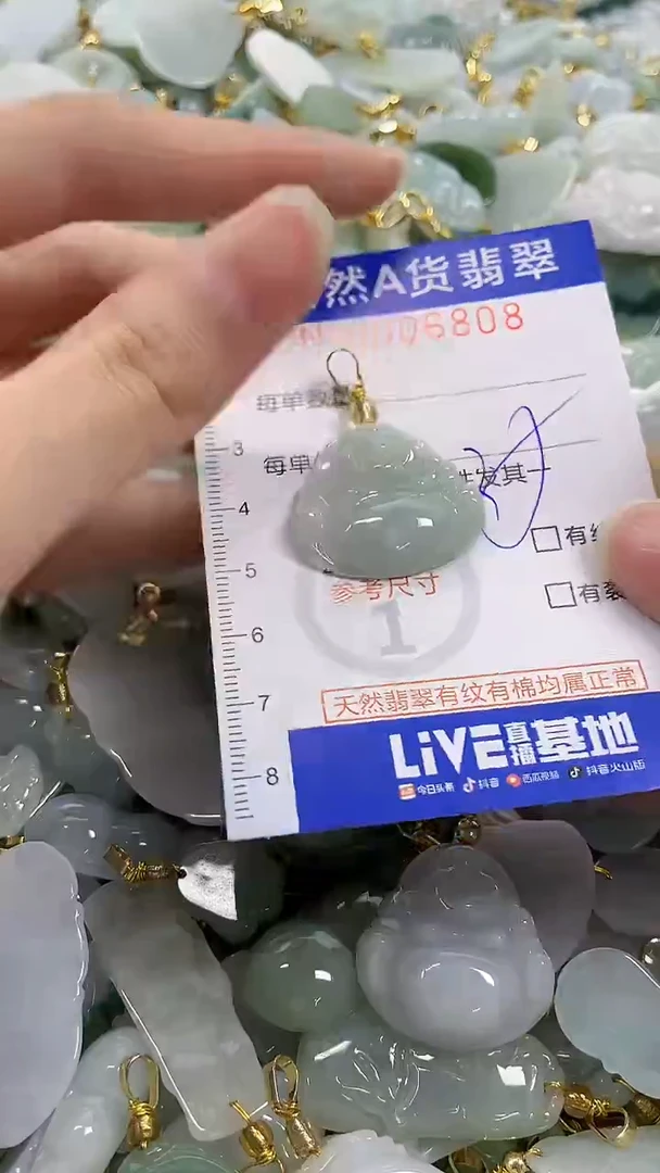 颈饰未镶嵌翡翠纯天然a货翡翠