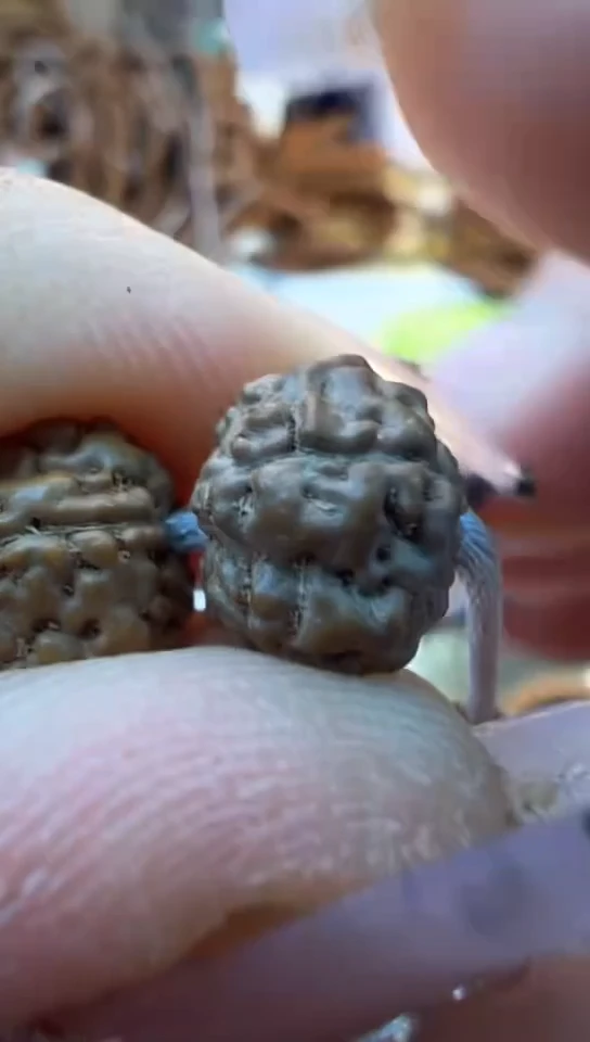 【闪购商品】金刚菩提手串702鬼脸小恶魔9-12