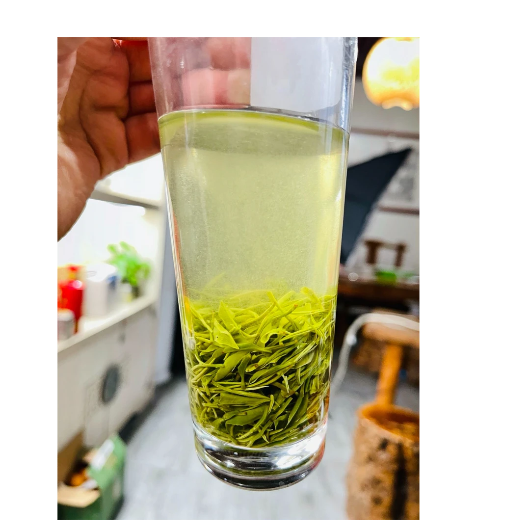 口粮茶/纯种老旱茶信阳毛尖/雨前小芽叶