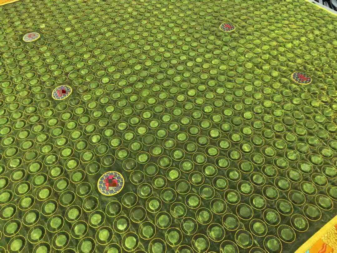 【ZLS专属】磁养垫4