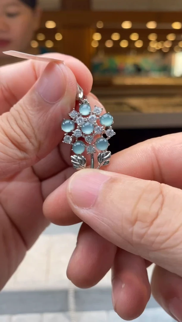 翡翠未镶嵌颈饰天然翡翠拍一发一多样性发货