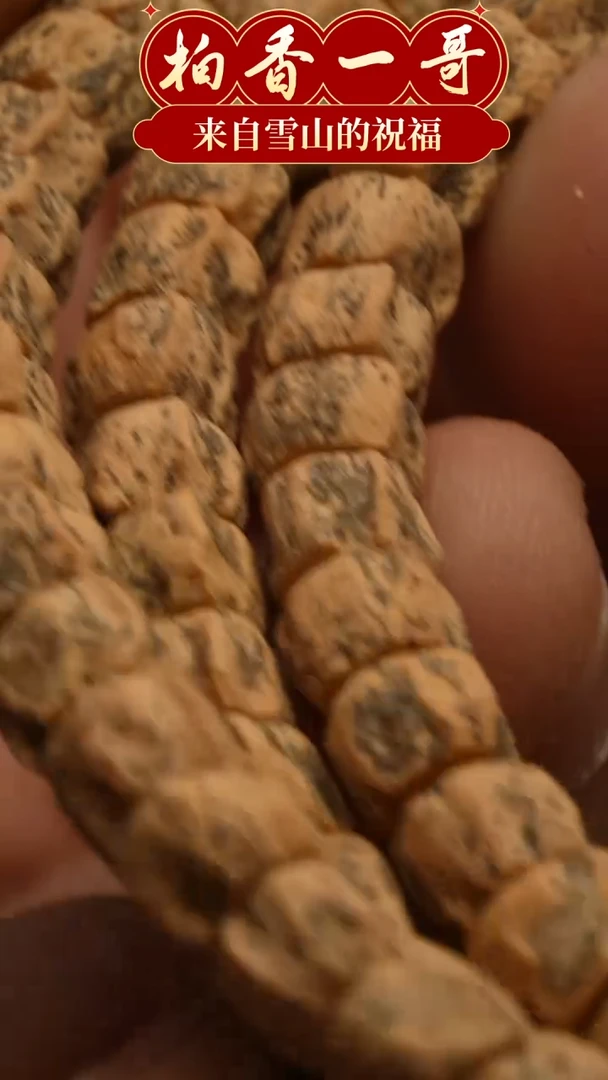 柏香籽/百香籽手串3047
