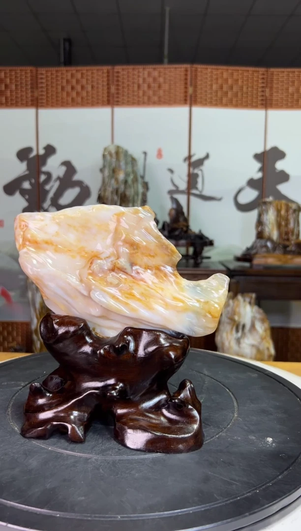 未镶嵌珠宝奇石硅化玉4