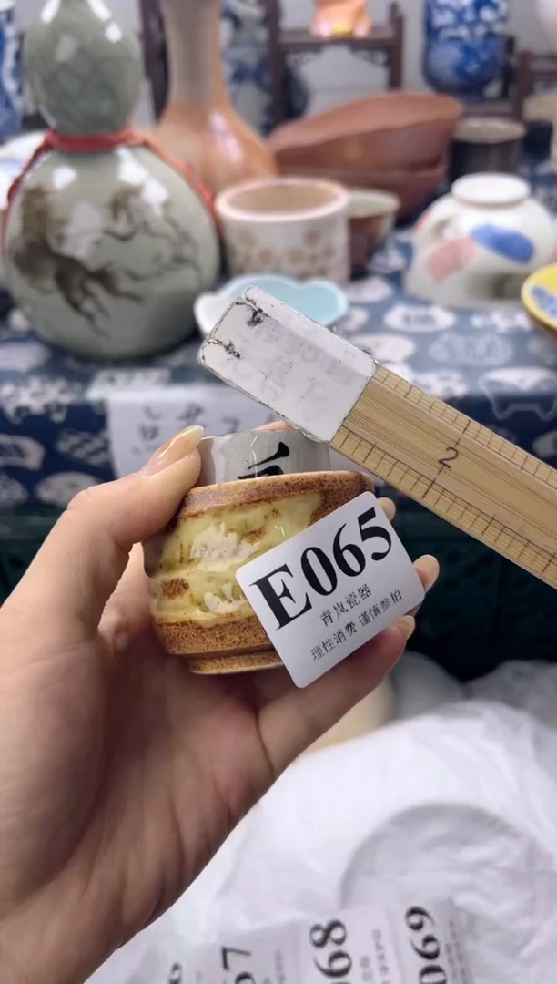 瓷片元****)   E065