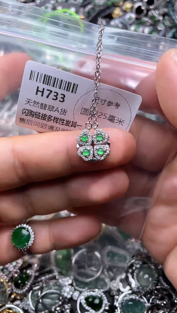 【闪购商品】翡翠颈饰未镶嵌H733项链