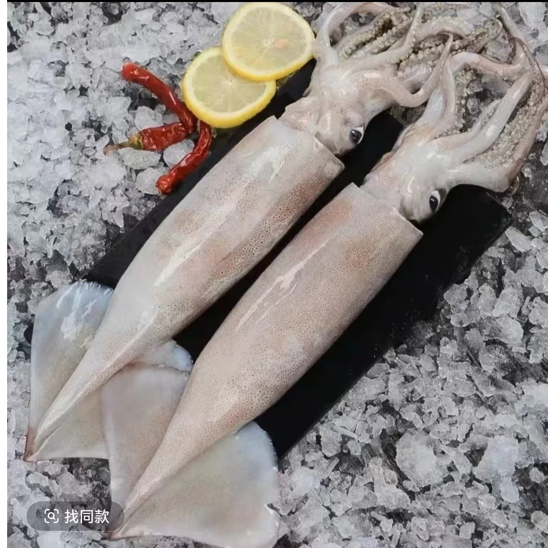 大连发货  鱿鱼（顺丰包邮）大小个头不均