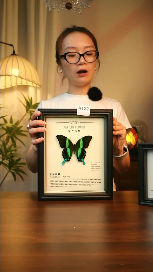 爱神凤蝶-中文（10寸欧式黑框）A122